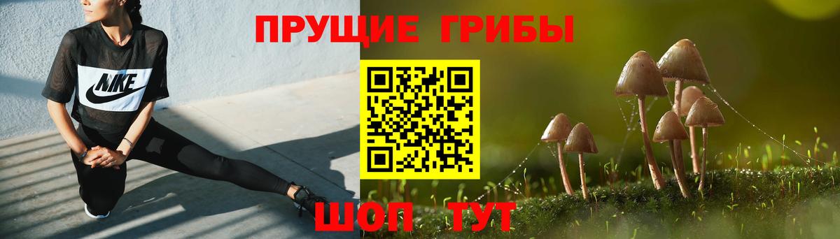 Галлюциногенные грибы Psilocybine cubensis  Вход с VPN  Чебоксары 